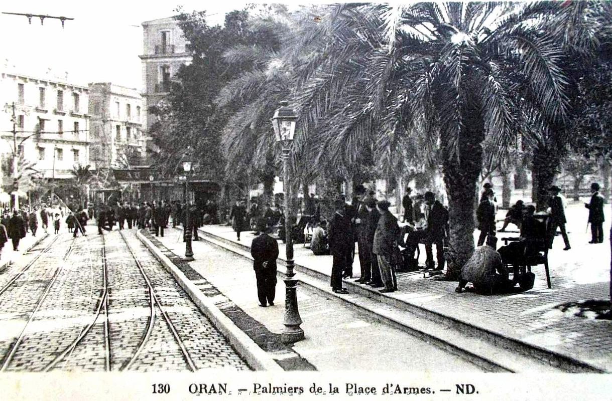 Oran - Place d'Armes - Sous les Palmiers.jpg